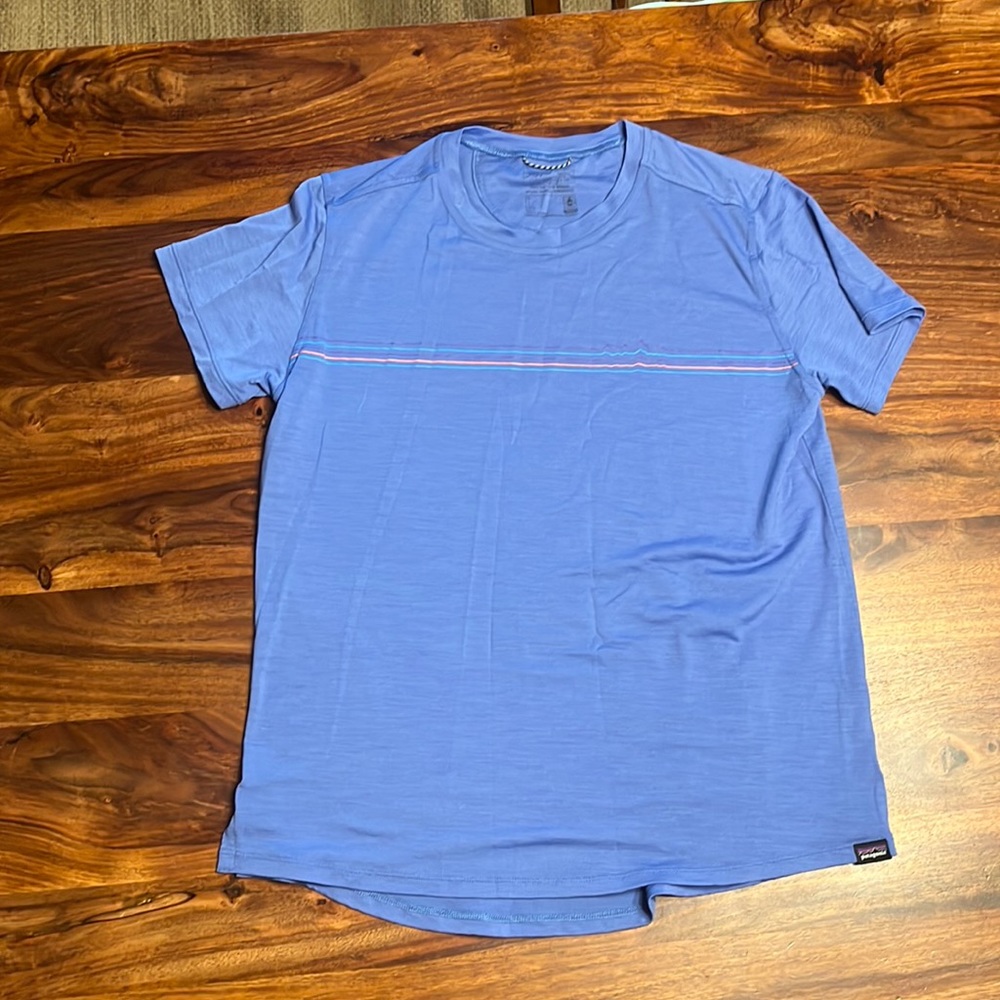 Patagonia Capilene cool merino t-shirt